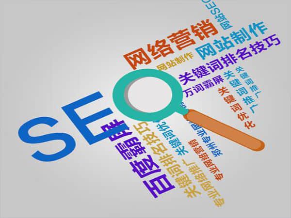 七台河如何选择一家的网站优化公司？